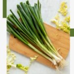 Los Beneficios de la Cebolla Tierna para tu Salud y Bienestar